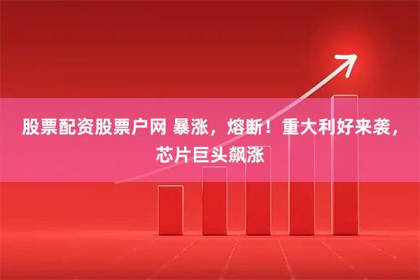 股票配资股票户网 暴涨，熔断！重大利好来袭，芯片巨头飙涨