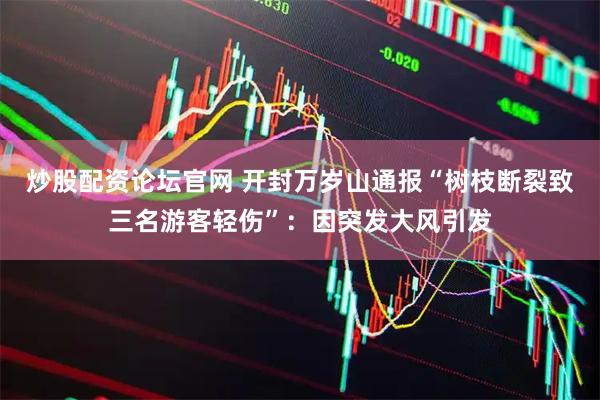 炒股配资论坛官网 开封万岁山通报“树枝断裂致三名游客轻伤”：因突发大风引发