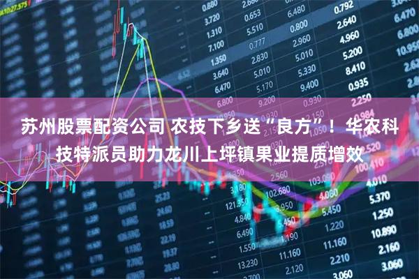 苏州股票配资公司 农技下乡送“良方”!华农科技特派员助力龙川上坪镇果业提质增效