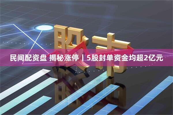 民间配资盘 揭秘涨停丨5股封单资金均超2亿元