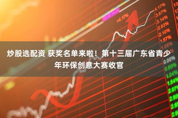 炒股选配资 获奖名单来啦！第十三届广东省青少年环保创意大赛收官